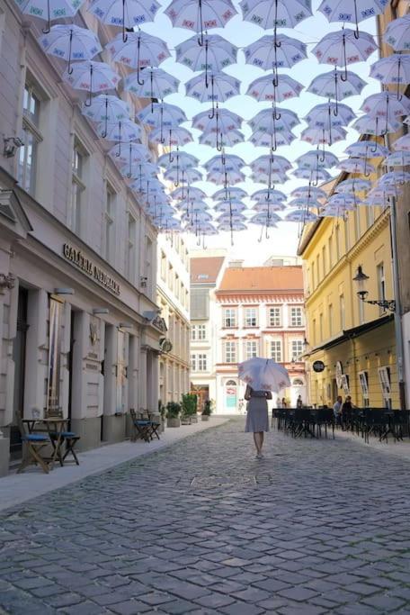 Diamond Residence In Old Town With Free Parking Братислава Экстерьер фото